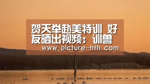 贺天举赴美特训 好友晒出视频:训兽正式开端-hth体育官网入口(图2) hth体育官方下载