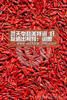 贺天举赴美特训 好友晒出视频:训兽正式开端-hth体育官网入口(图3) hth手机版登录