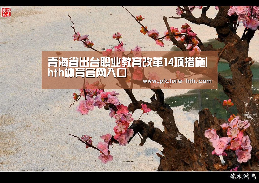 青海省出台职业教育改革14项措施|hth体育官网入口(图2) hth手机版登录